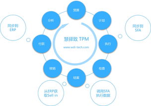 赋能精细化运营 快消品企业部署专业费用管理系统的战略价值与信息咨询服务